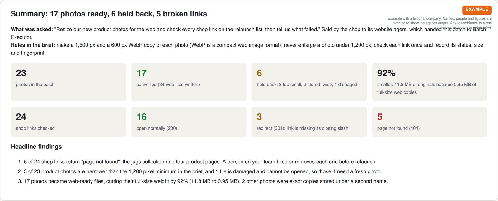 Example batch summary for a fictional homeware shop: 17 of 23 photos converted, 6 held back, and 5 of 24 links not found.