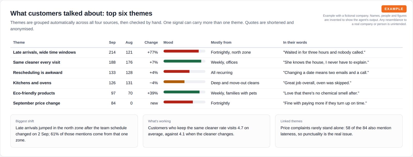 A table of six customer themes with this month's and last month's mentions, change, a coloured mood bar, the main segment and a short anonymised quote, above three short insight cards.
